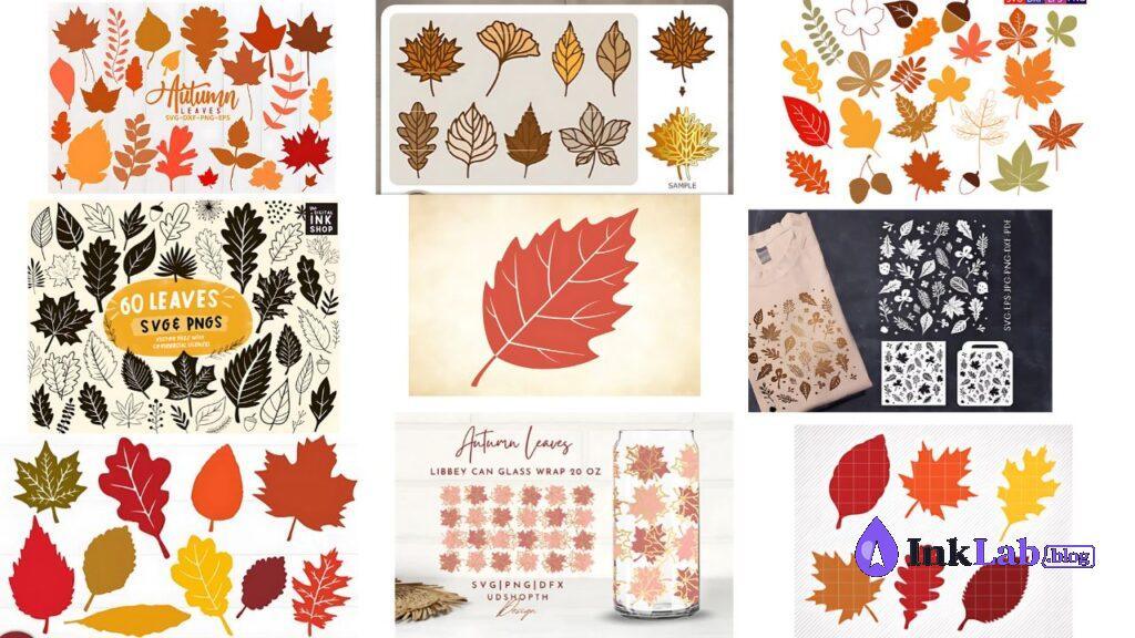 free autumn leaves silhouettes fall svg vector bundle